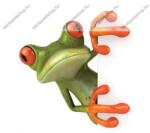  Állatos - Béka 1. sztályos vonalas füzet, A5/14-32 (PI_2017_311-2721_1o)