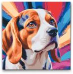  Festés számok szerint - Beagle vörös és kék árnyalatokban Méret: 50x50cm, Keretezés: Műanyagtáblával