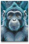  Festés számok szerint - Majom a sötét türkiz árnyalataiban Méret: 40x60cm, Keretezés: Keret nélkül (csak a vászon)
