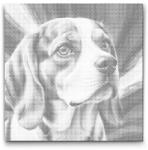  PontPöttyöző - Beagle vörös és kék árnyalatokban Méret: 50x50cm, Keretezés: Műanyagtáblával, Szín: Zöld