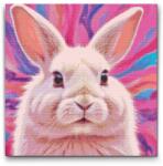  Gyémántszemes kirakó - Nyuszi rózsaszín árnyalatokban Méret: 50x50cm, Keretezés: Műanyagtáblával, Gyémántok: Négyzet alakú