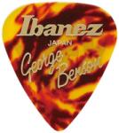Ibanez B1100GB George Benson Signature Flat pengető