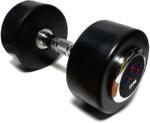 SPARTAN Sport - Professional Gym Dumbbell - Edzőtermi Kézisúlyzó - 15 Kg