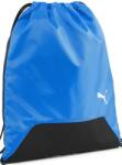 PUMA teamGOAL 090240-02