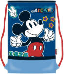Arditex Disney Mickey (ADX15380WD)