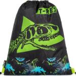 KARTON P+P T-Rex (3-05822)