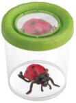 NAVIR Recipient de observare a insectelor Navir - Cu lupă, asortiment (NA8027)