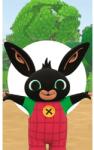 4home Prosop pentru copii Cute Bunny Bing , 30 x 50 cm Prosop