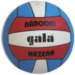 Gala Minge națională de handbal GALA BH3022S - roșu