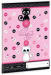 Ars Una Cicás/Think-Pink 2. osztályos vonalas füzet, gombolyag, A5 (2014) - Ars Una (93626736_2o_2)