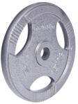 inSPORTline Disc fonta inSPORTline Hamerton 15 kg 30 mm