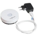 Viessmann Repeater de comunicaţie Viessmann pentru termostate Vitotrol RF (7456538)