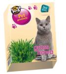  Lolo Pets Iarba pentru pisici Lolo Pets, 100 g