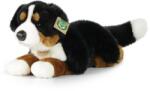 Rappa Câinele de pădure bernese din pluș, cu o lungime de 44 cm, ECO-FRIENDLY (RP228160)