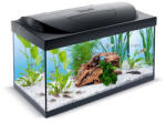 Tetra Starter Line - Akvárium szett fekete LED világítással 54 liter (T-305649)