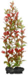 TETRA Decorat Tetra Plant Red Ludwigia L 30cm