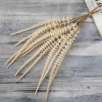 Valex Decor Zsálya köteg, 6 szálas, 50cm magas - Bézs (AF071-01)