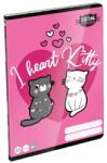 Lizzy Card Kittok Heart Kitty A5 27-32 lapos kockás füzet (20819)