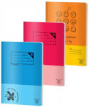 Pigna Caiet Pigna A4 Basic, 60 file, Matematica (CC-A460M00)