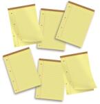 PIGNA Legal A4 caiet cu file liniate 50 de foi P1131-0216 (P1131-0216)