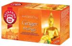 TEEKANNE Ceai de fructe TEEKANNE World Special Tea ghimbir-mango 12 filtre/cutie