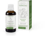  Mullein Cu Flori Mici De Salcie Salcie Vierme Extract Alcoolic 50ml
