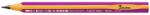 BIC Creion grafit BIC Kids Evolution Girl HB triunghiular jumbo 919263 (919263)