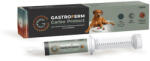 Gastroferm Carbo Protect pentru câini de talie mare pt diaree acută/cronică 30 ml