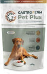 Gastroferm Pet Plus pre- și probiotic pentru câini de talie mare (peste 5 kg), 250g