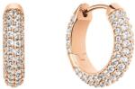 Daniel Wellington fülbevaló DW00400627 - arany Univerzális méret