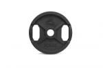 Fitskin Disc Fitskin cu manere (FS35-10)