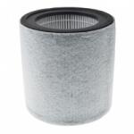 VHBW Filtru HEPA pentru Leifheit / Soehnle AirFresh Clean Connect 500 (BW888300281)