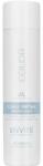 Dusy Professional Envité Color Reflex Shampoo Ash 250 ml