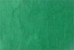  Material din fetru, moale, A4, verde FEBD0118/FEBD0079 (FEBD0118/FEBD0079)