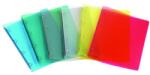 KARTON P+P Carte de inele A/4 PP 20mm 2 inele transparent fum 2-169 (2-169)