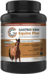 Gastroferm Equine Plus pre- și probiotic pentru cai cu aromă de mere, 800g