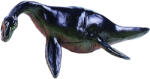 Rappa Figurină Rappa - Dinozaur V, 11-13 cm (171206-5) Figurina