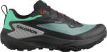 Salomon GENESIS GTX Terepfutó cipők l47688300 Méret 46 EU Férfi futócipő