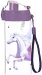 KARTON P+P Oxy Click Pegazus 500 ml (9-08024)