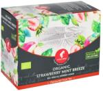 Julius Meinl BB FT ORGANIC STRAWBERRY MINT BREEZE 20 plicuri/cutie