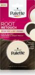 Schwarzkopf Schwarzkopf Palette Compact Root Retouch hajkorrekció Barna 3 g
