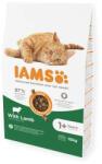 Iams for Vitality 10kg száraz macskatáp Báránnyal - tenyesztoitap