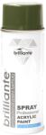 Brilliante Spray Vopsea Brilliante, Verde Masliniu, 400ml (08712)