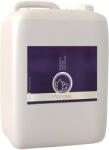Nanolex Spuma Prespalare Auto Nanolex Professional Prewash Concentrate, 5L (NXPPRE050)