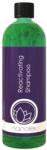 Nanolex Sampon Auto Nanolex Reactivating Shampoo, 750ml (NXRS07)