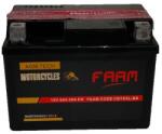 FAAM AGM 4Ah 50A