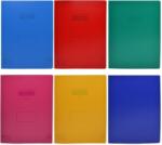  Caiet dictando, A4, 80 file, coperta PP, diverse culori, Nebo RB25471 (RB25471)