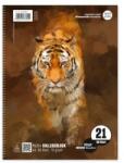 Formatwerk Caiet A4 College Format Werk Ursus, 80 de coli liniate, 70g
