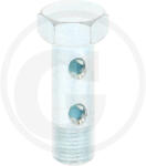 Import Germania Surub tubular Banjo M10x1 (374205104/10)