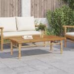 vidaXL bambusz dohányzóasztal 110 x 55 x 35 cm (366470) - vidaxl